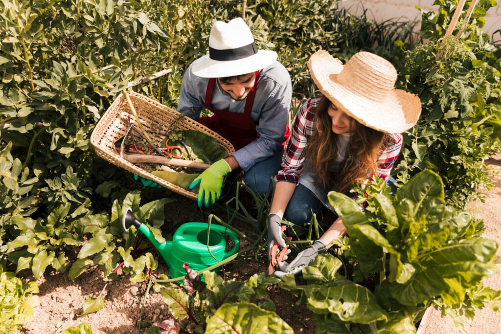 ong agricultura familiar