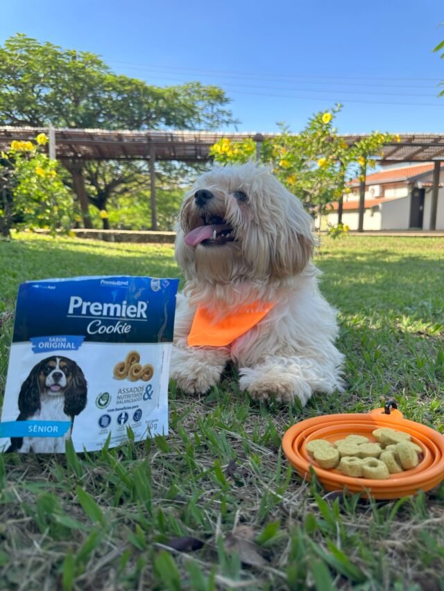 Parceria-Premier3
