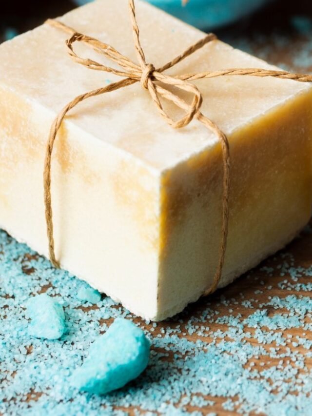 cropped-16a15cde-d1e5-4e00-9ec8-d1ca743b9a9c.jpg