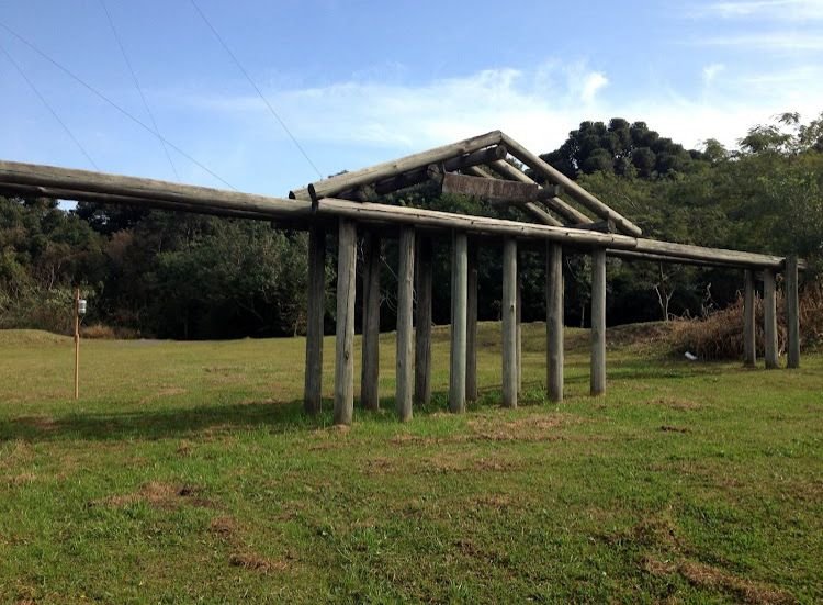 Educação Ambiental Florestal: Crianças Desbravam Florestas em Trilha Interativa