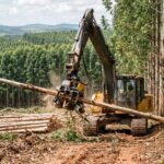 Máquina florestal harvester operando em plantação de eucalipto